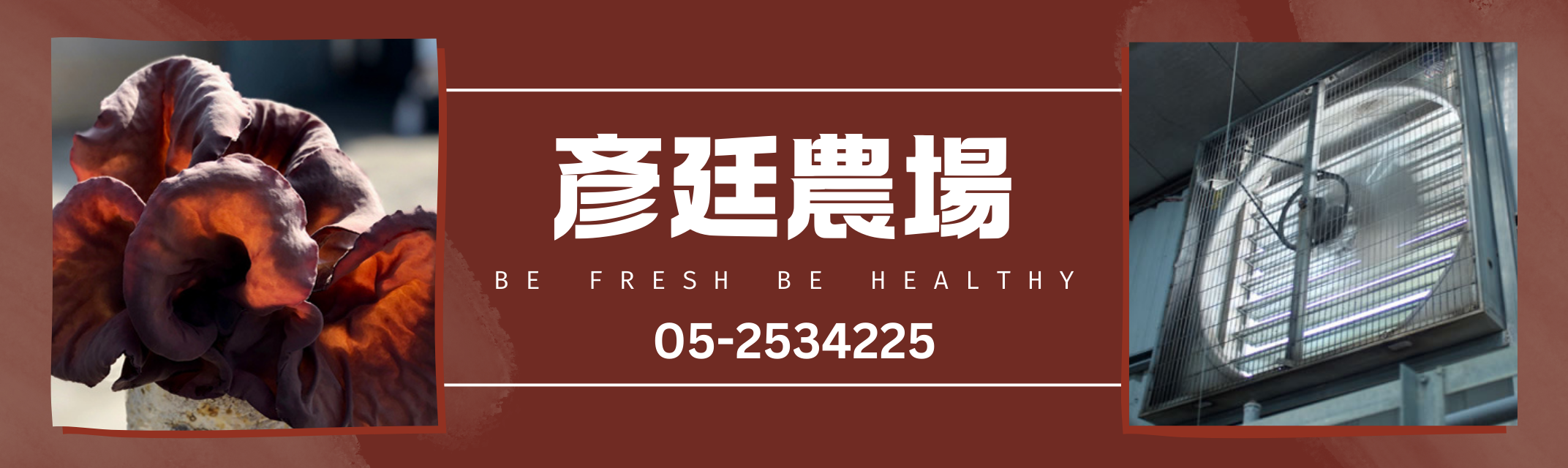 鮮採黑木耳 × 新鮮直送