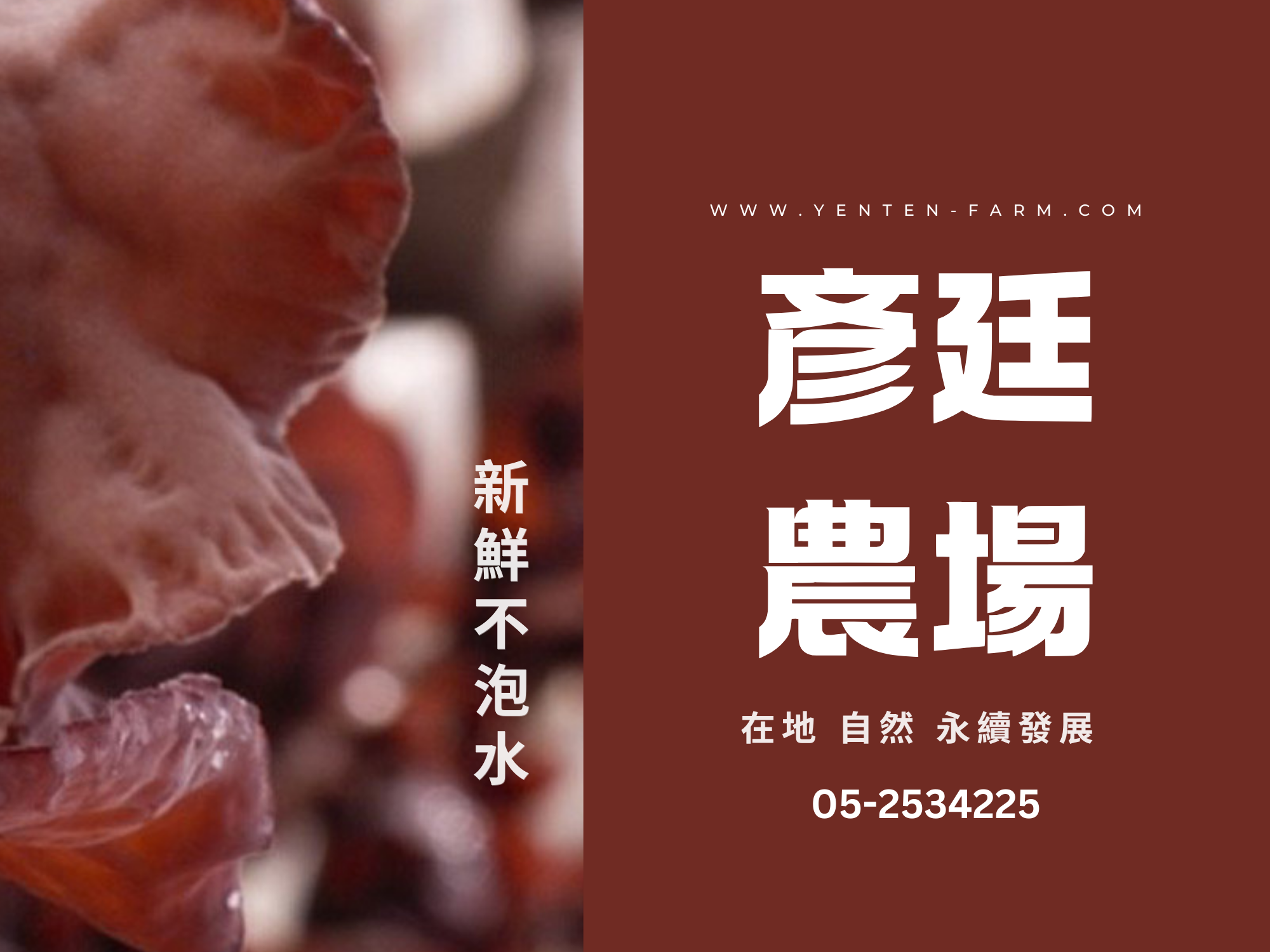 彥廷農場 | 有機黑木耳 | 靈芝產品 | 雙神農獎認證-農產品