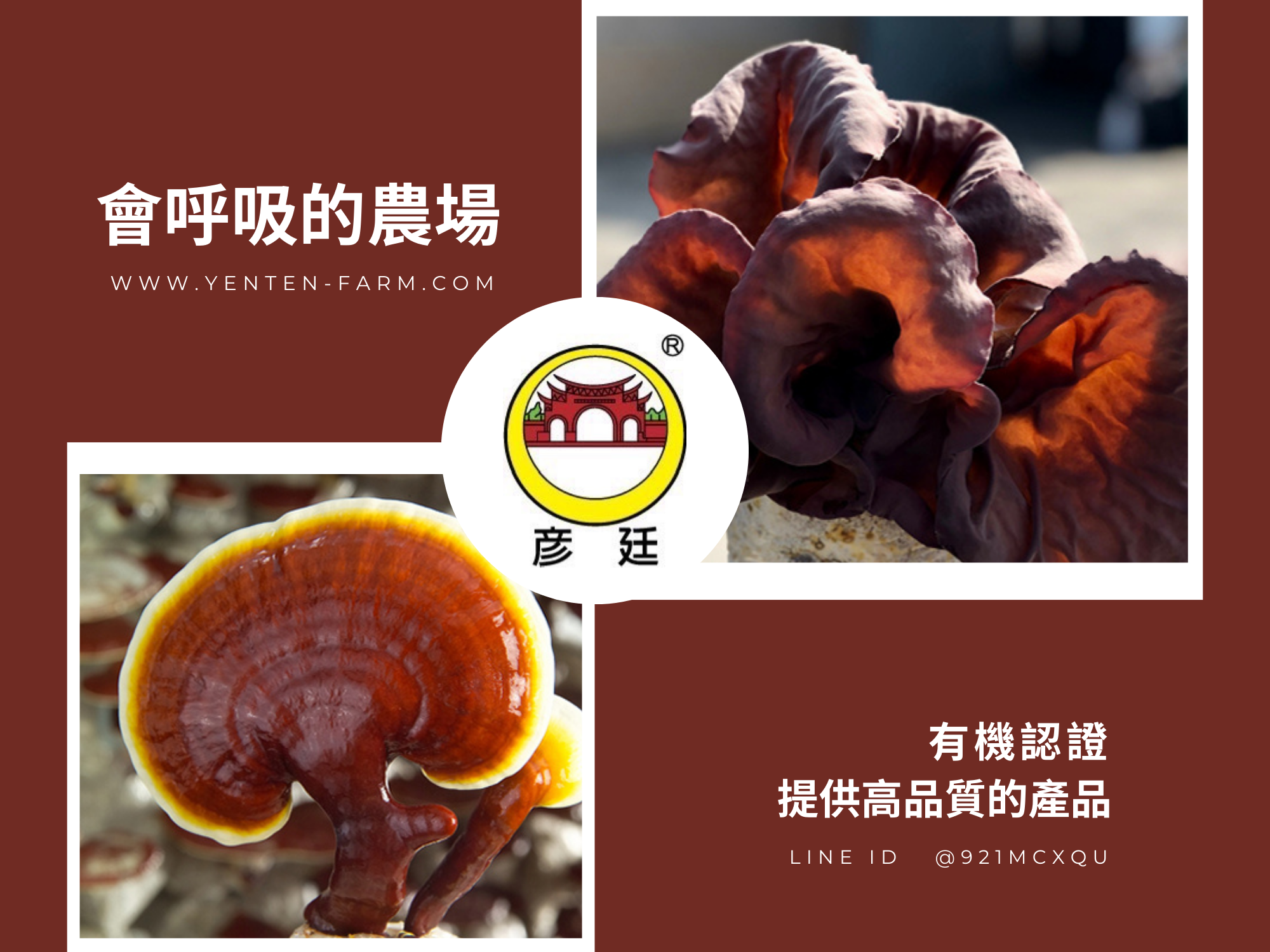 彥廷農場 | 有機黑木耳 | 靈芝產品 | 雙神農獎認證-農產品