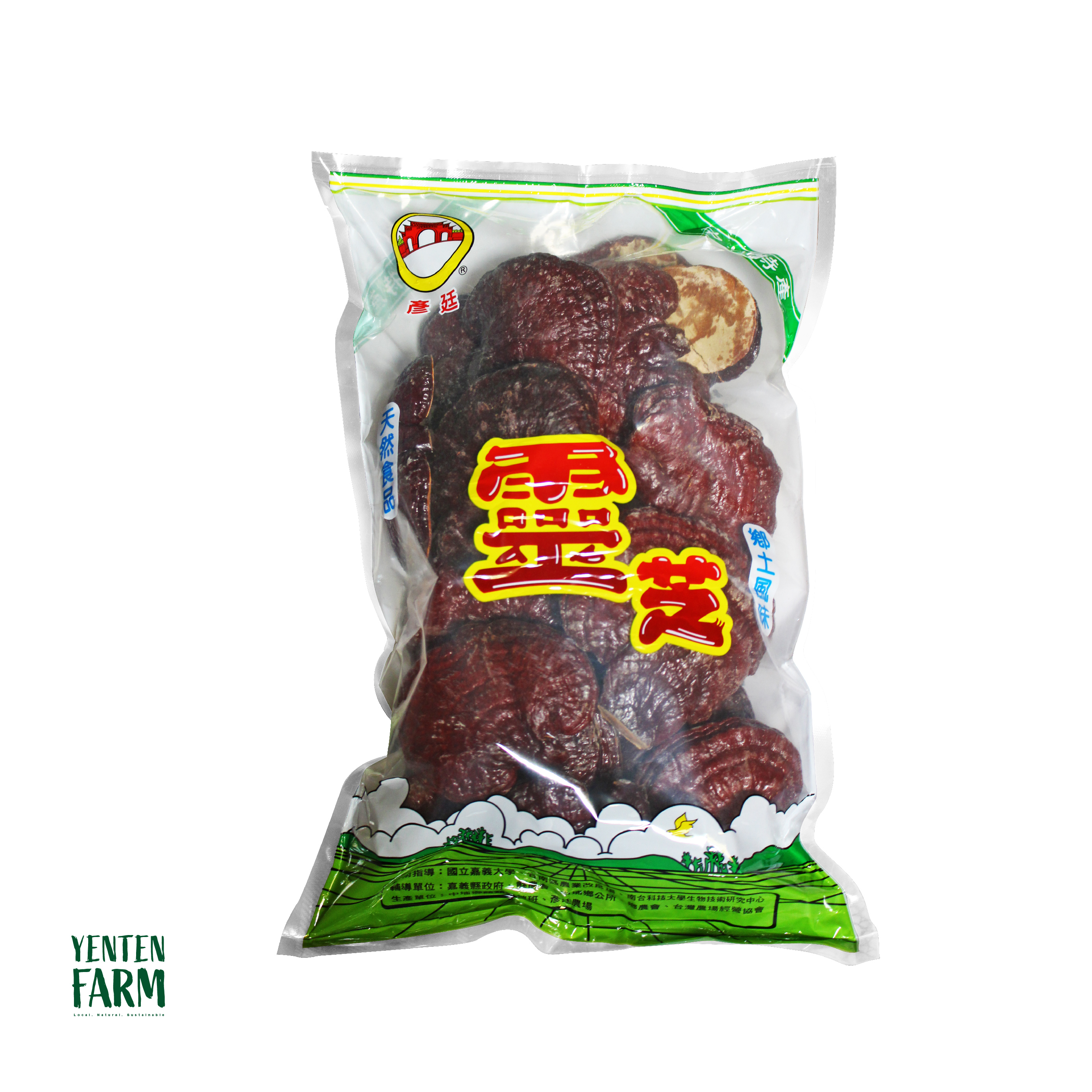 乾燥如意靈芝整朵