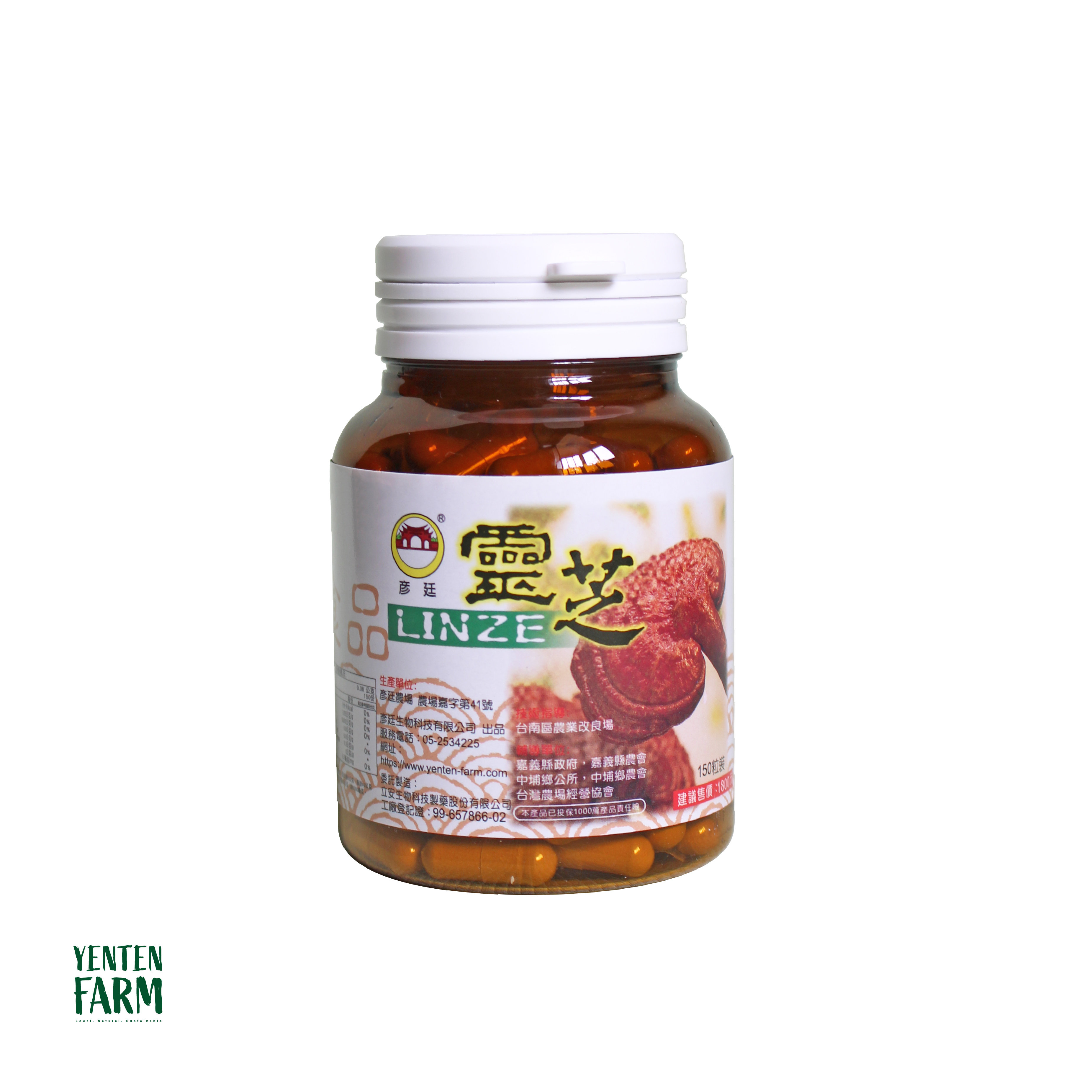 靈芝6倍濃縮膠囊