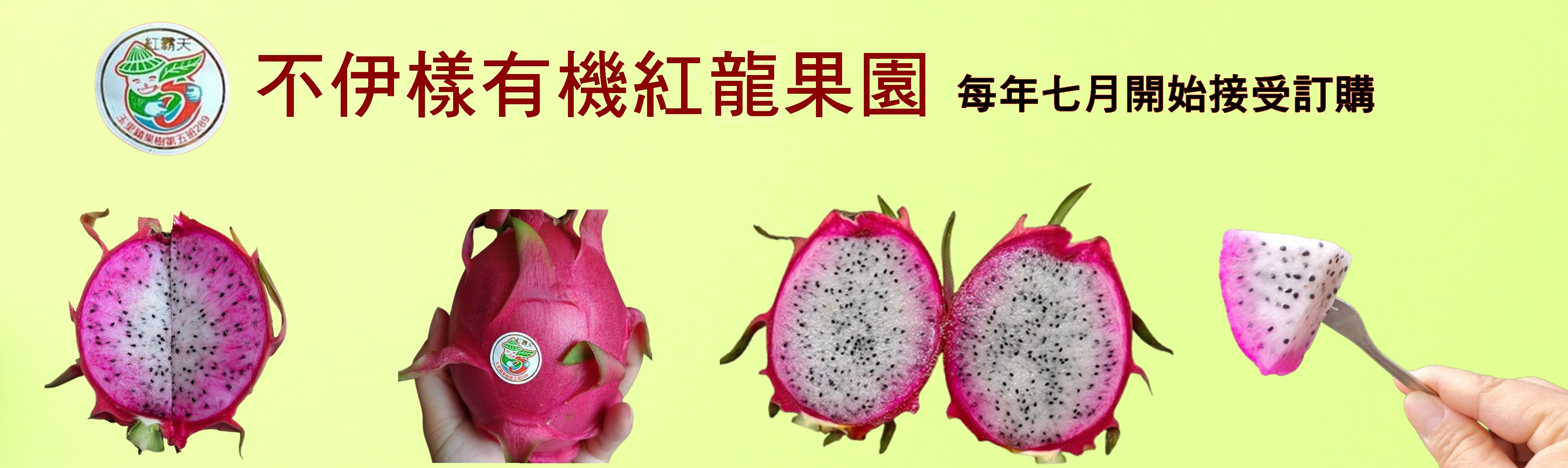不伊樣有機紅龍果園~紅霸天  雙色紅龍果-有機農產品