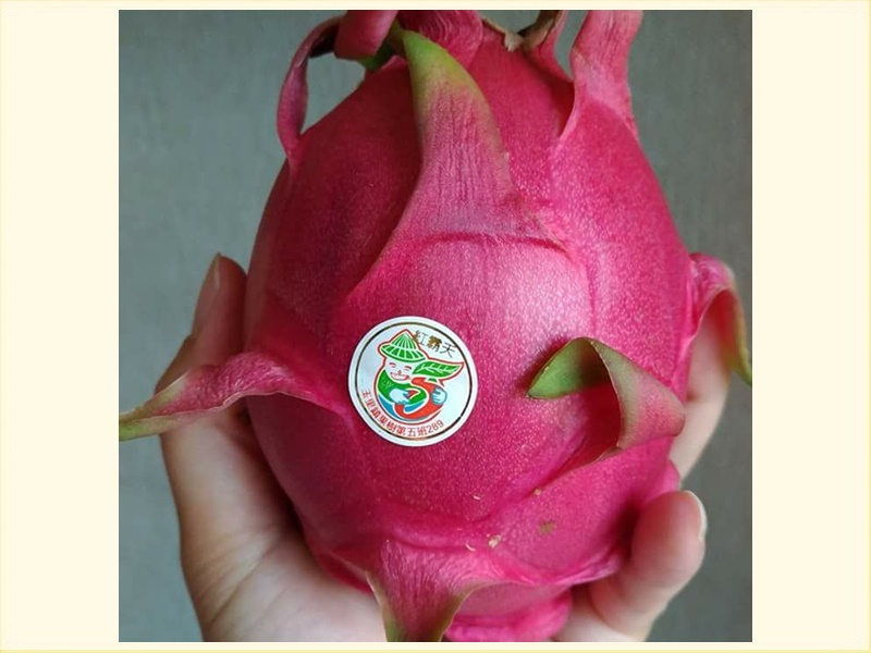 不伊樣有機紅龍果園~紅霸天  雙色紅龍果-有機農產品