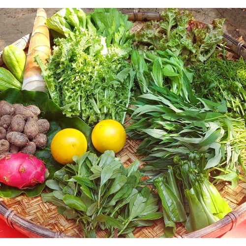 友善生態蔬菜箱