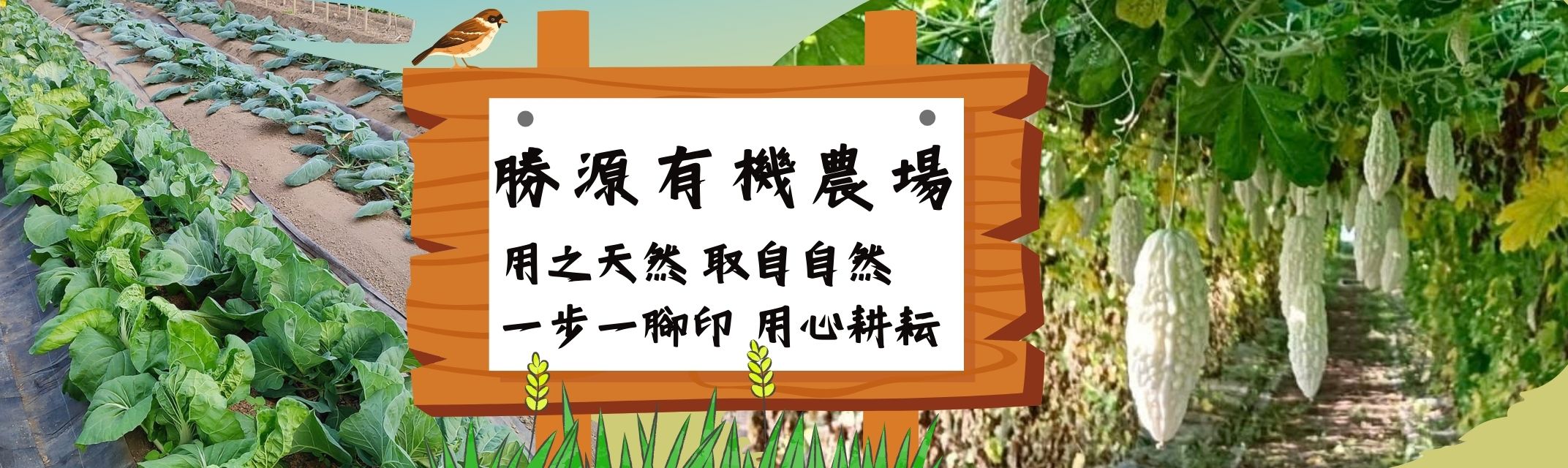 勝源有機農場-農產品