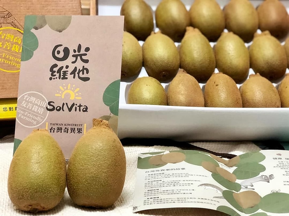 台灣黃金奇異果禮盒