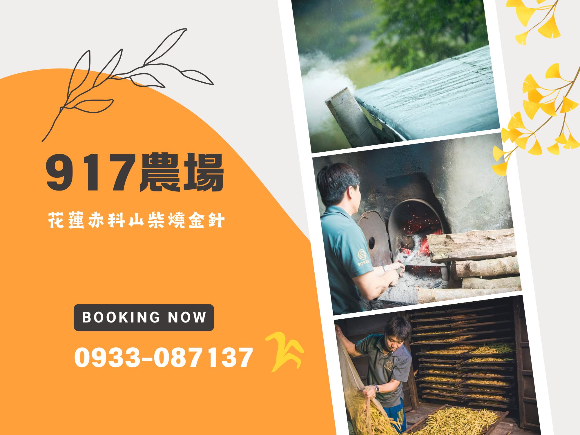 917農場 × 赤科山柴燒金針 × 有機咖啡-土產品