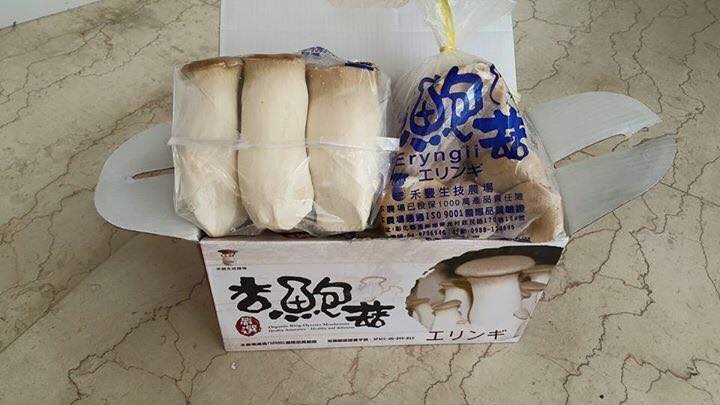 禾豐生技農場~新鮮優質有機杏鮑菇-有機農產品