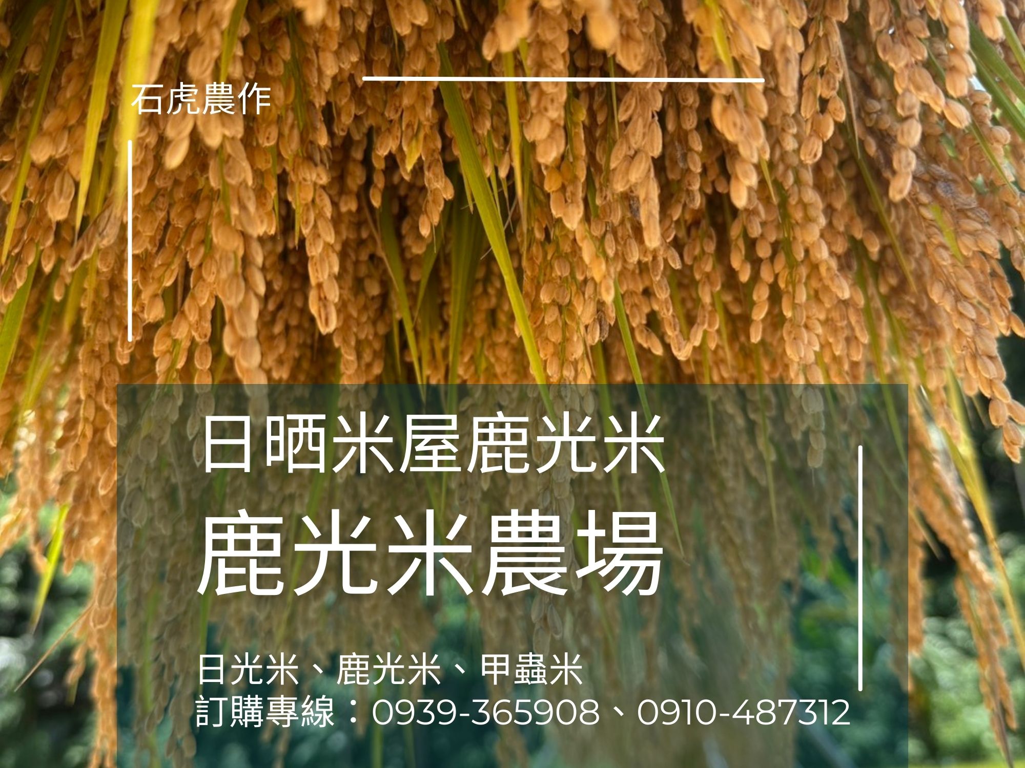 鹿光米農場-農產品