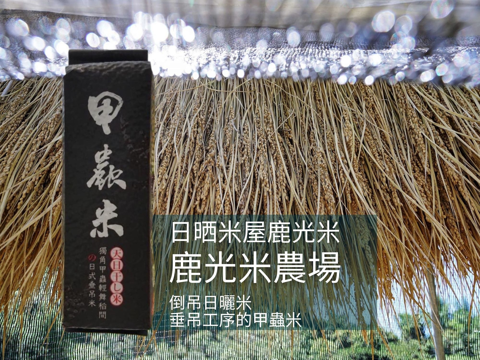 鹿光米農場-農產品