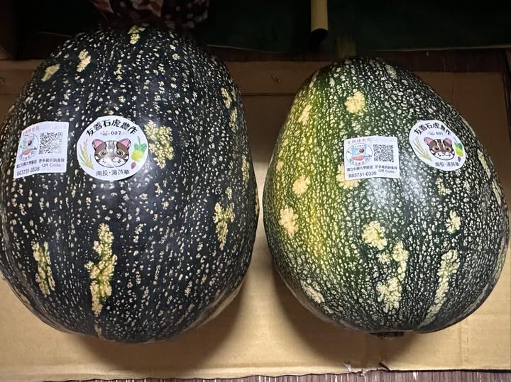 有機轉型期南瓜