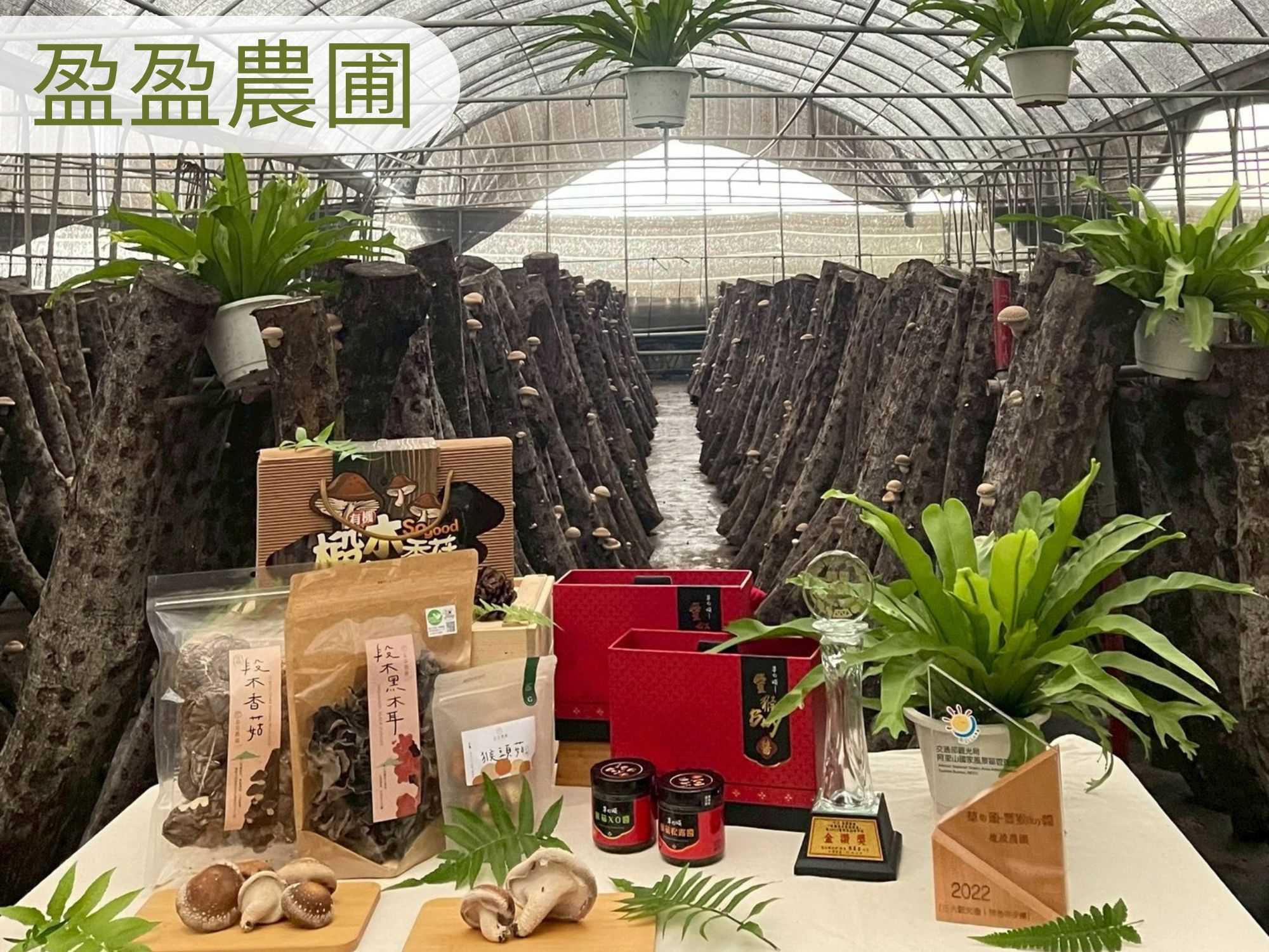 盈盈農圃-農產品