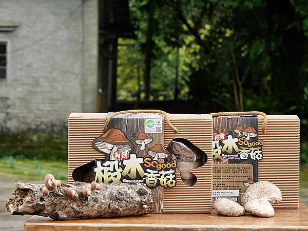 乾燥段木香菇禮盒