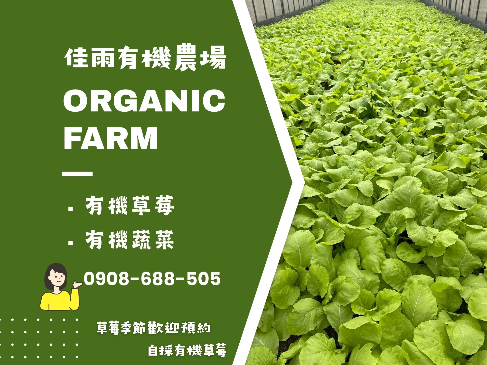 佳雨有機農場 × 有機蔬菜 × 通路合作