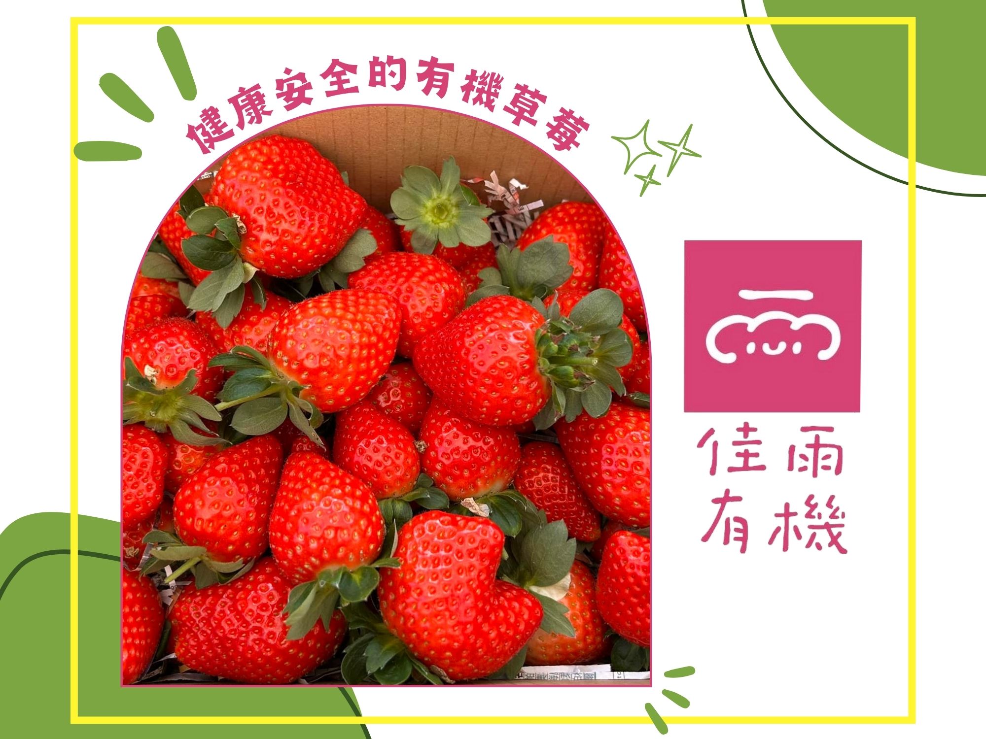佳雨有機農場 × 有機蔬菜 × 有機草莓-有機農產品