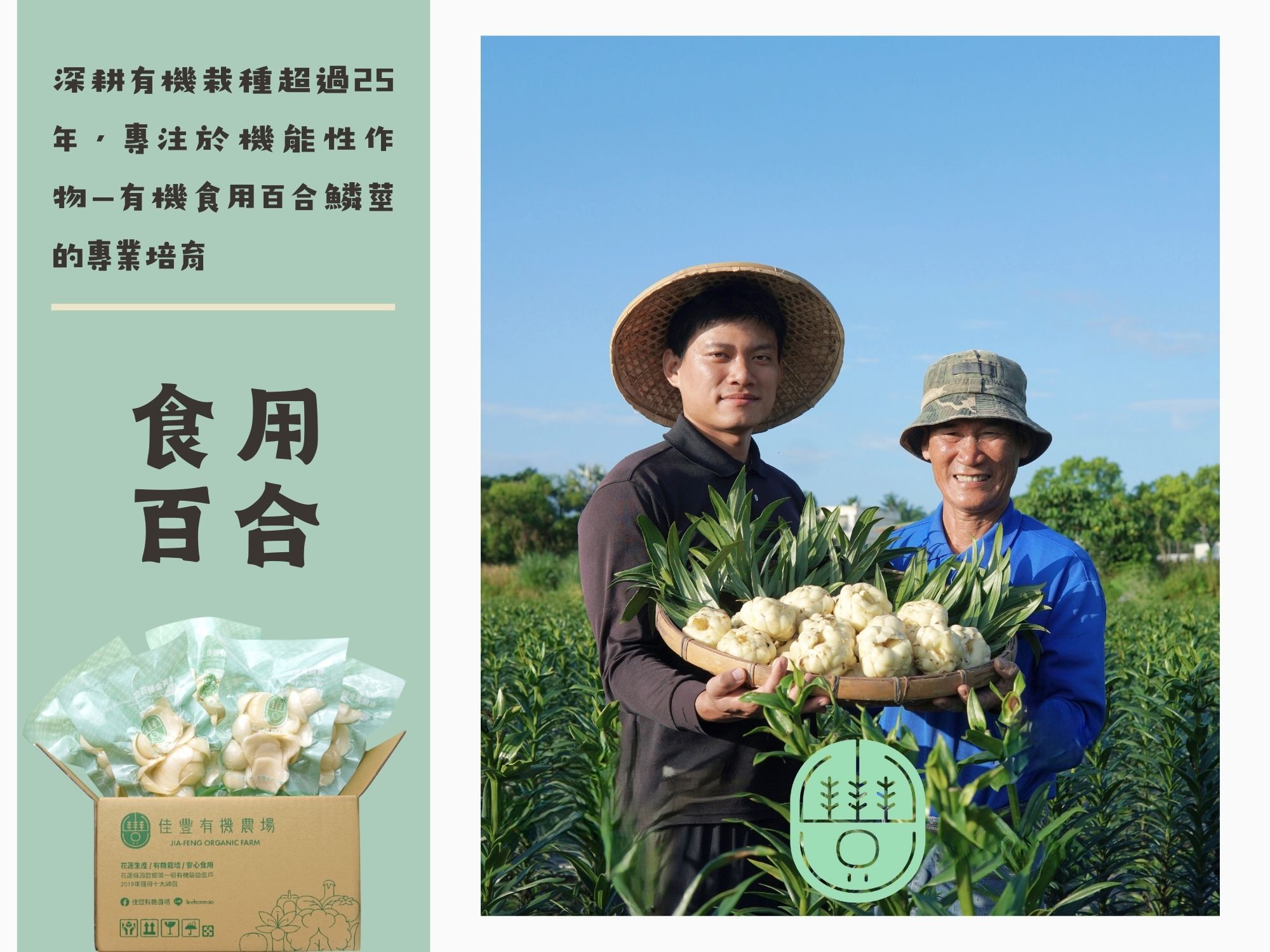 佳豐有機農場 × 有機食用百合 × 百合銀耳飲品-農產品