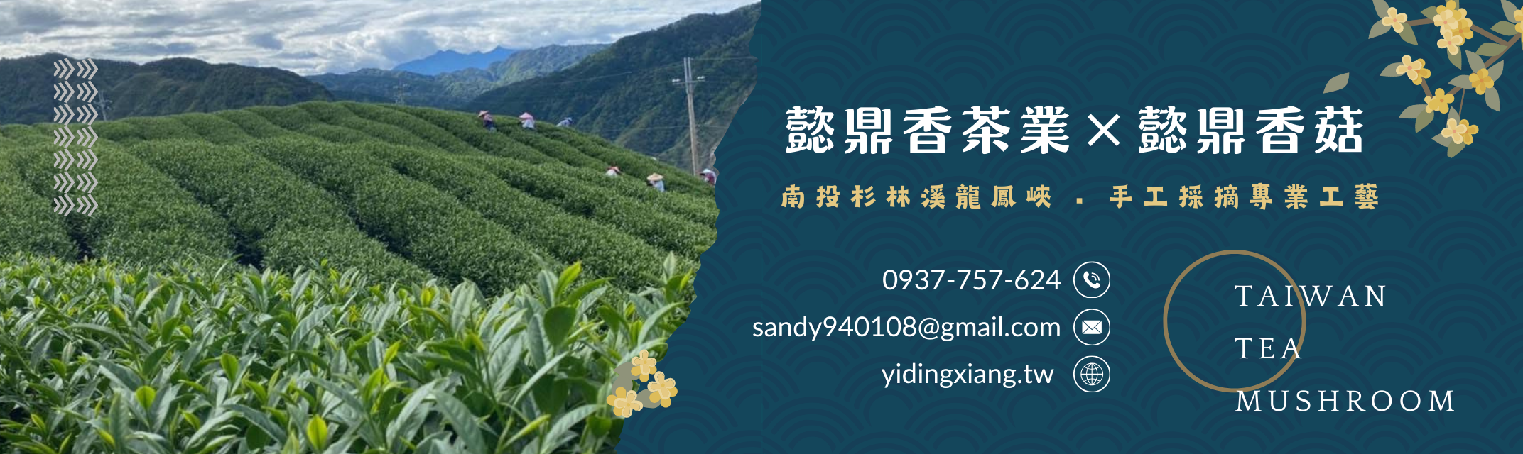 懿鼎香茶業 × 懿鼎香菇 × 杉林溪龍鳳峽高山茶-農產品