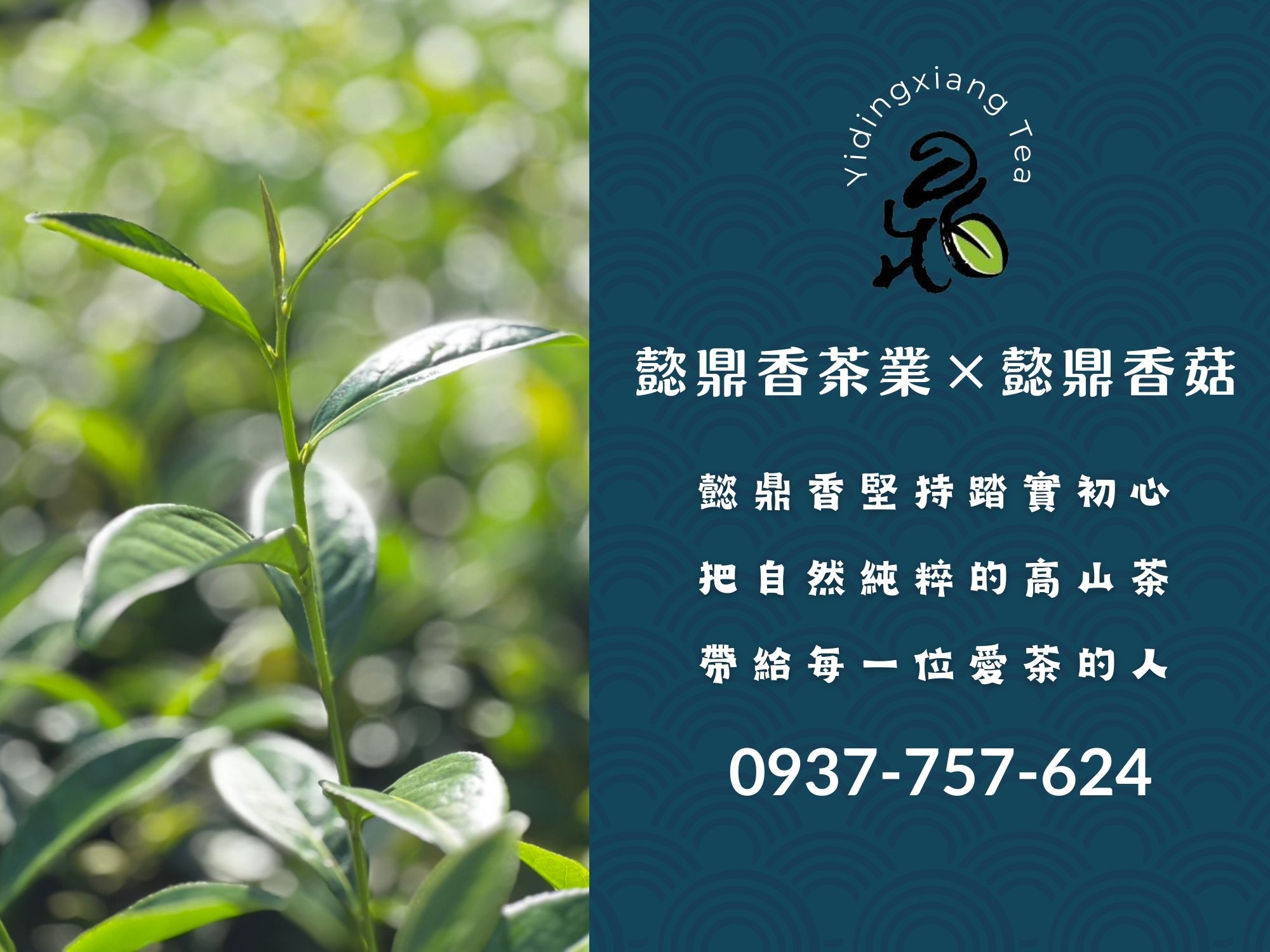 懿鼎香茶業 × 懿鼎香菇 × 杉林溪龍鳳峽高山茶-農產品