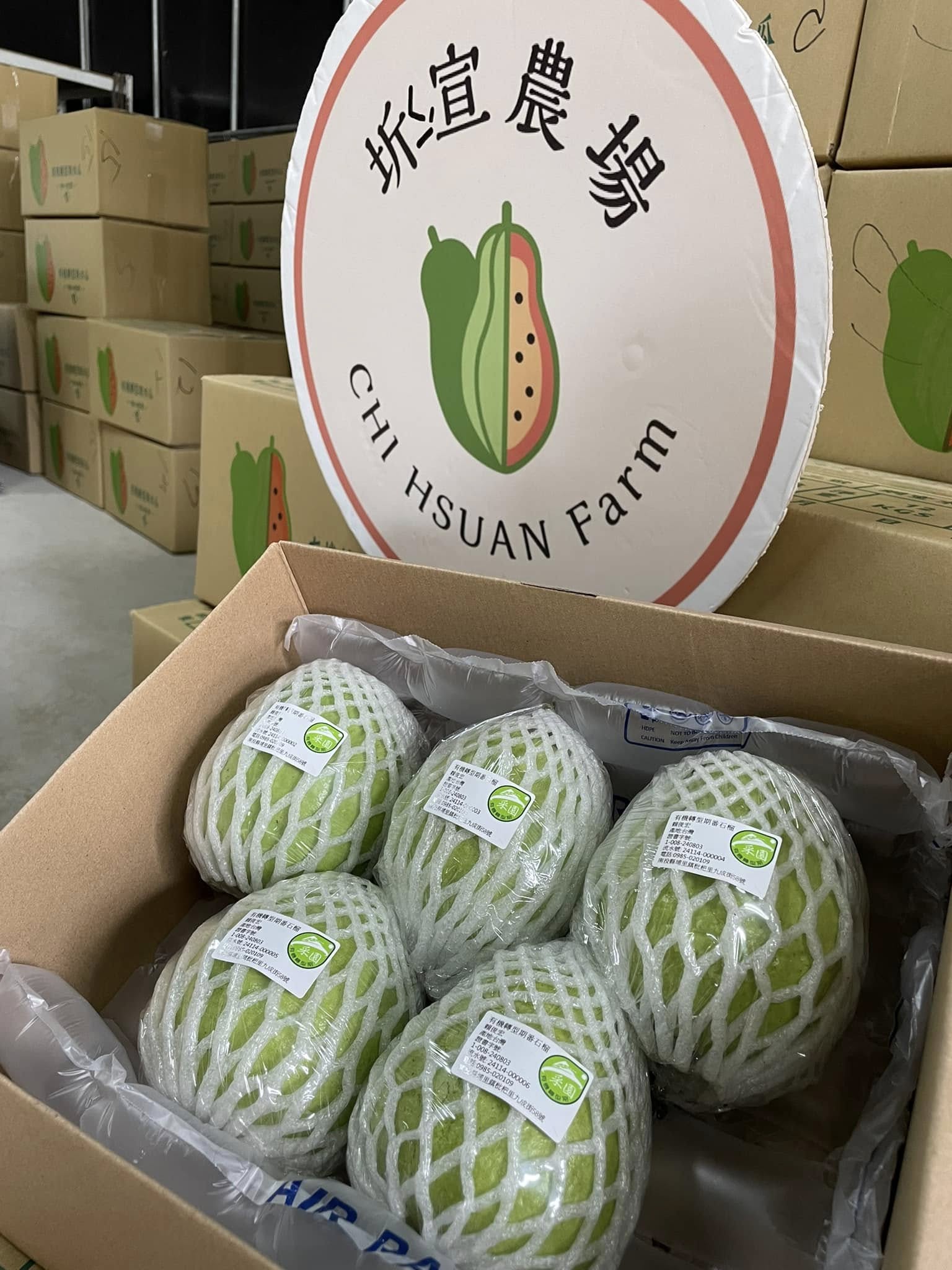 有機轉型期芭樂