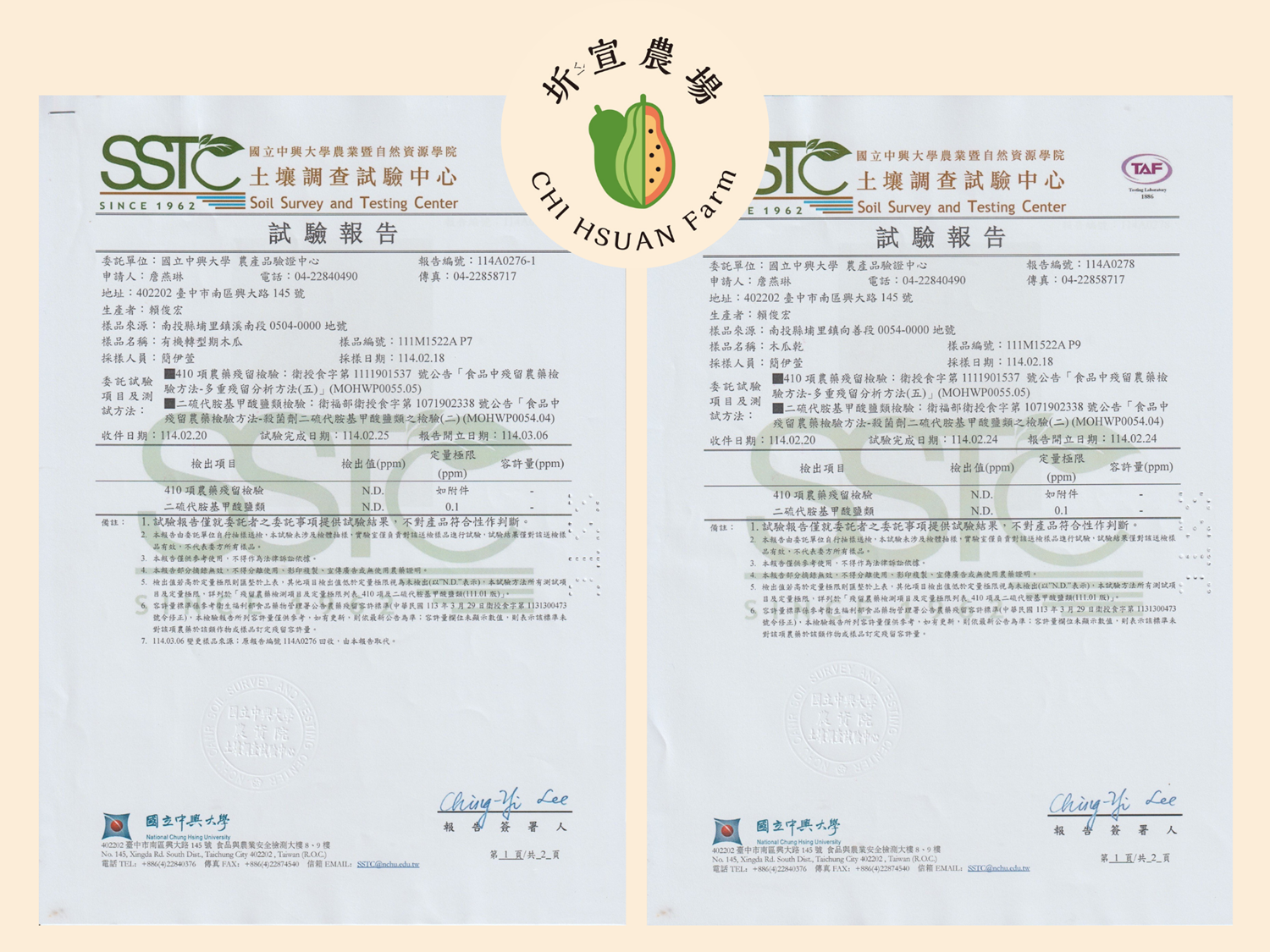 土壤調查試驗報告