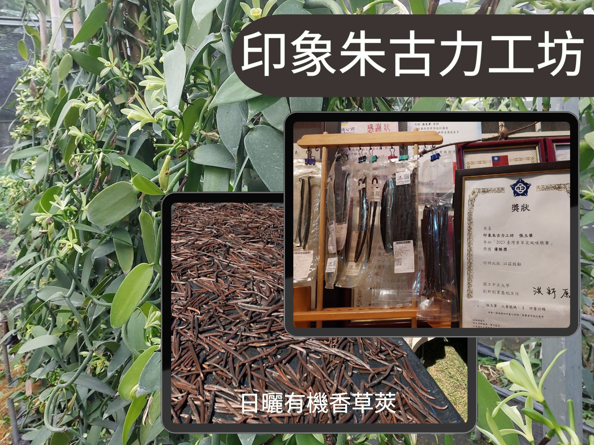 印象朱古力工坊-有機農產品