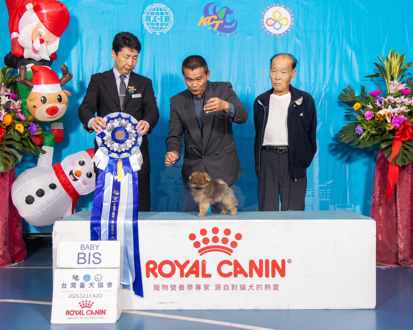 台中寵物店/汪旺家寵物店