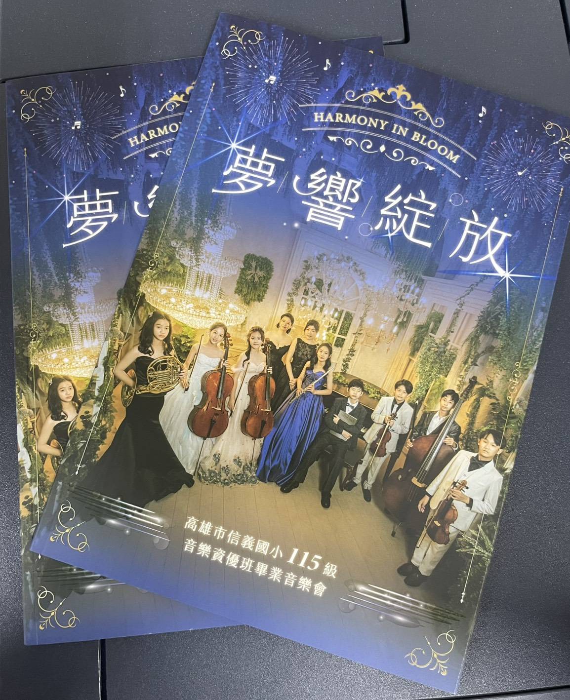 表演節目冊