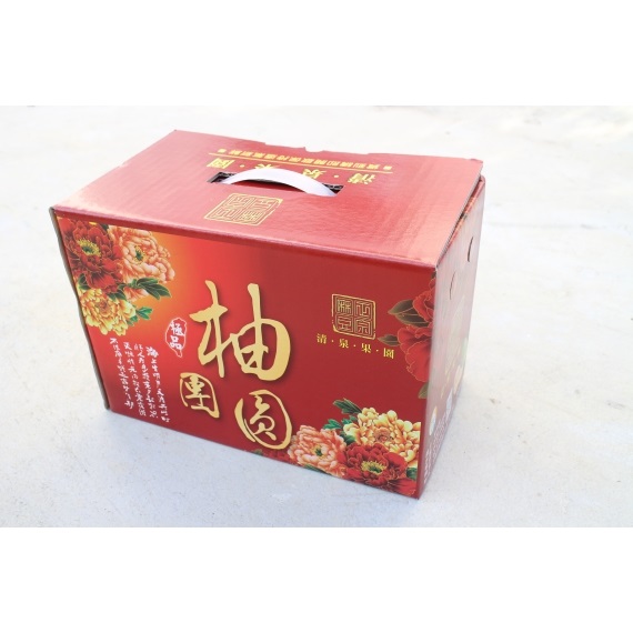 頂級柚團圓5斤裝(6~8粒)