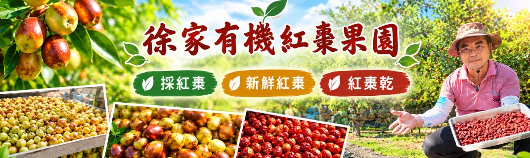 徐家有機紅棗果園  採紅棗 新鮮紅棗 紅棗乾-果園、農場