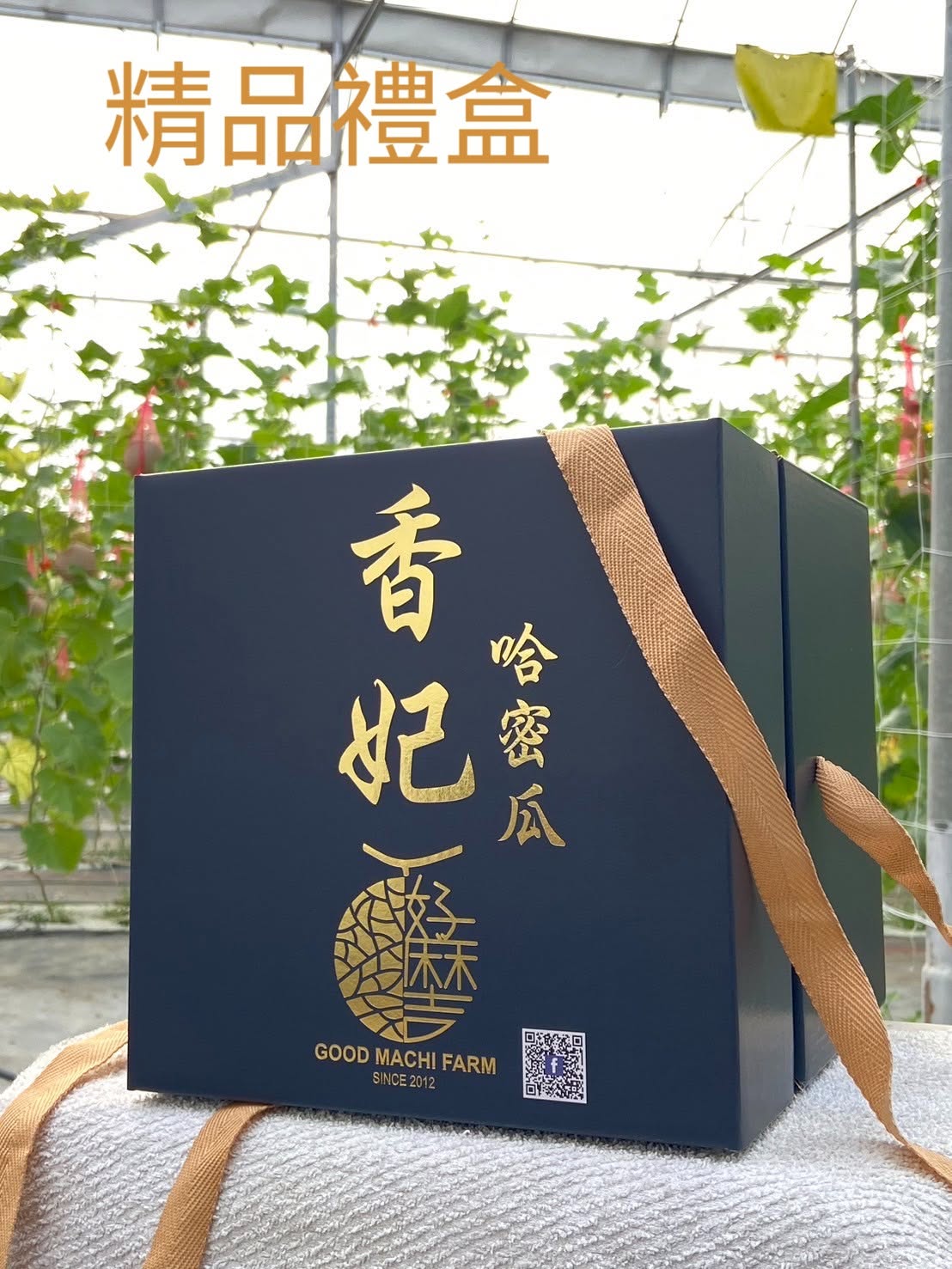 哈密瓜禮盒