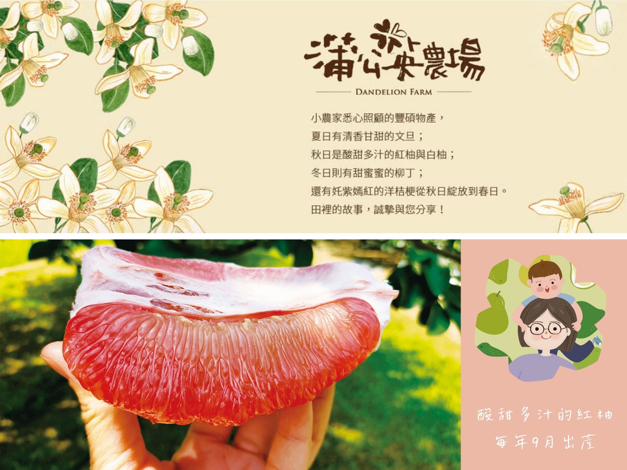 蒲公英農場-農產品