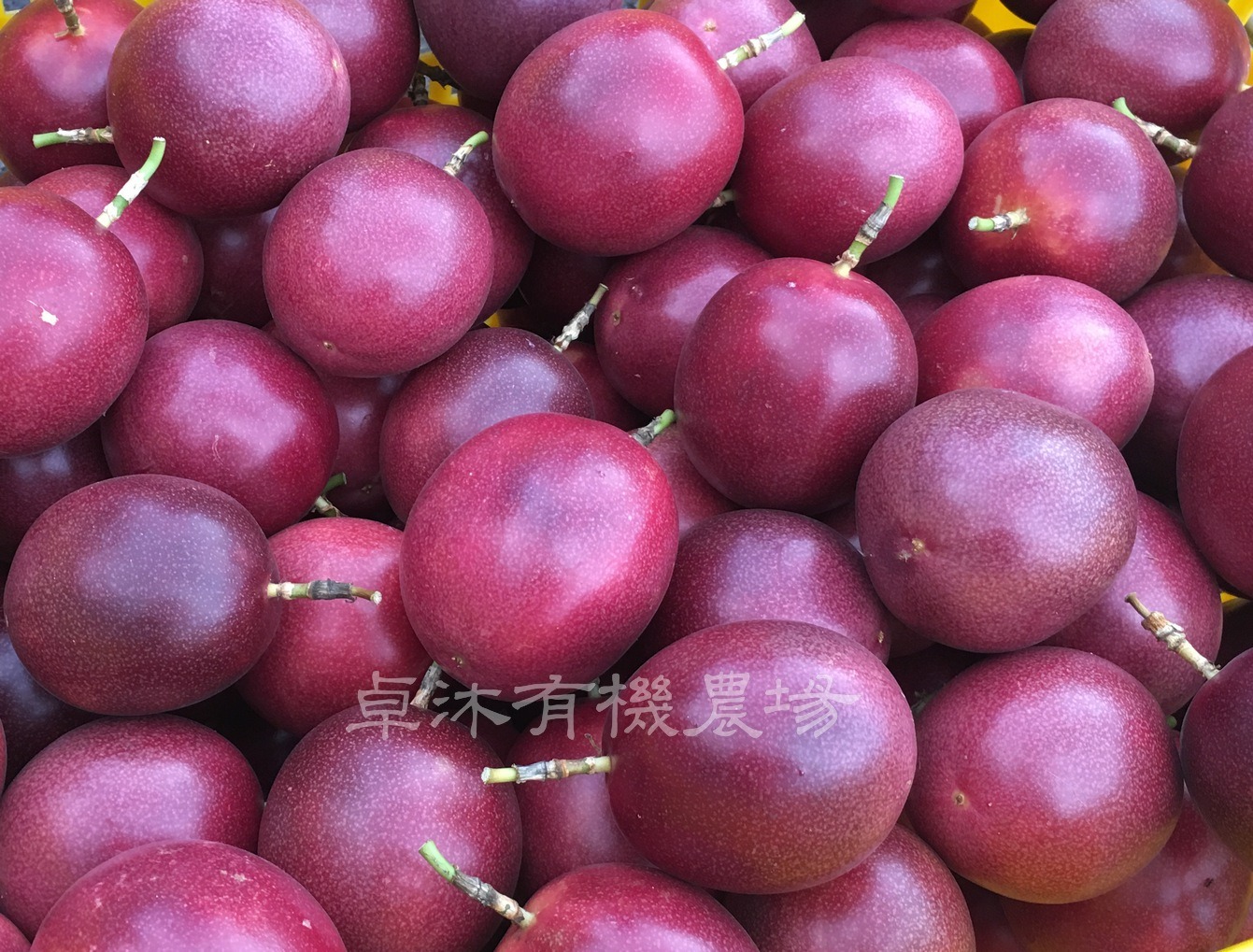 有機百香果