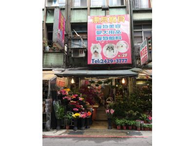 漂亮寶貝寵物美容店-undefined