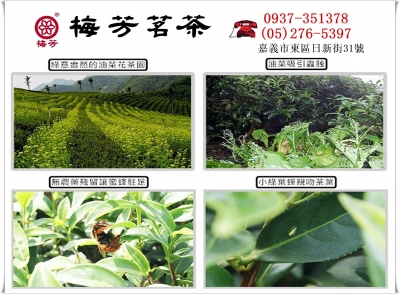 梅芳特產行-undefined