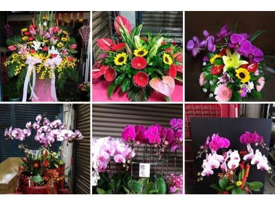 佛光鮮花店-undefined