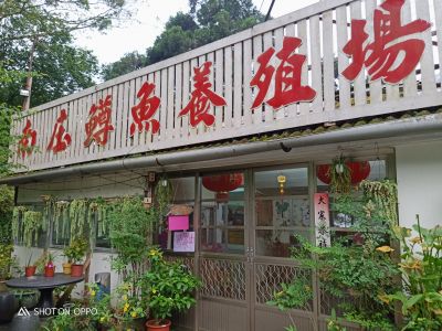 南庄鱒魚養殖場-undefined