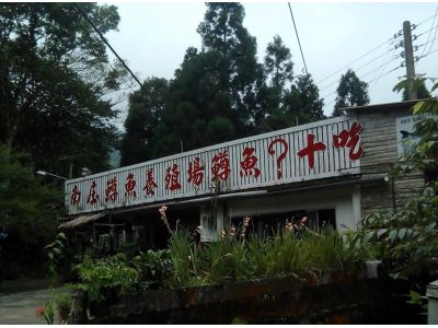 南庄鱒魚養殖場-undefined