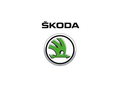 原莊汽車股份有限公司-undefined