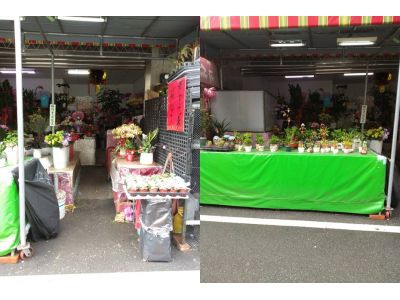 吉祥花店-undefined