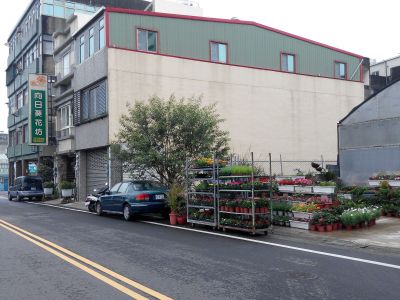 向日葵花坊-undefined