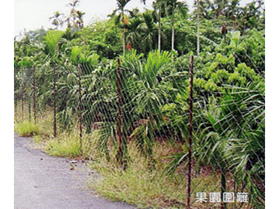 力代金屬製網（廖全琇）-undefined