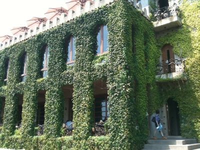 天空休閒事業有限公司-undefined