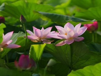 鄉親畫廊-undefined