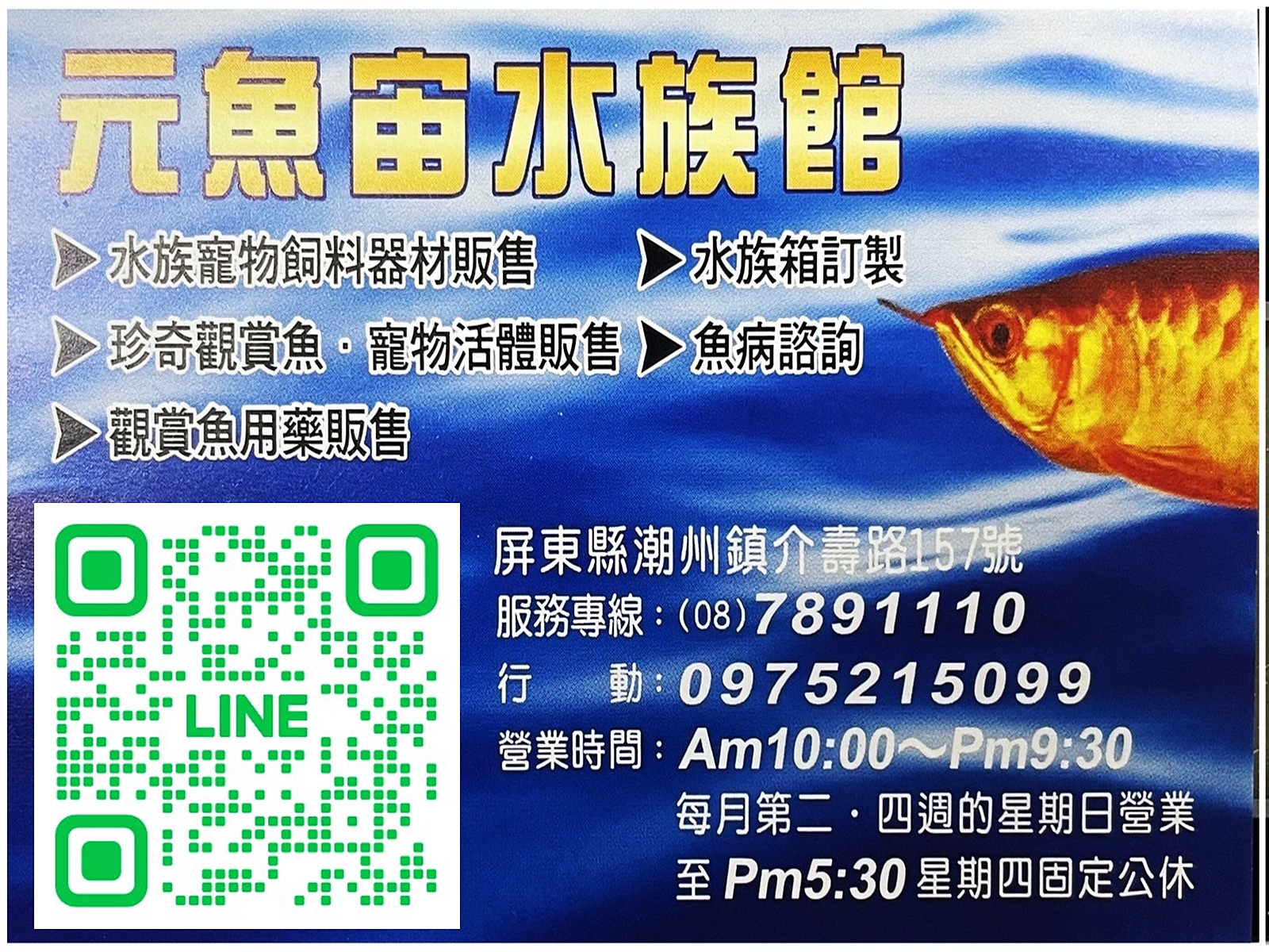 元魚宙水族館(原➢國際水族館量販店)-undefined