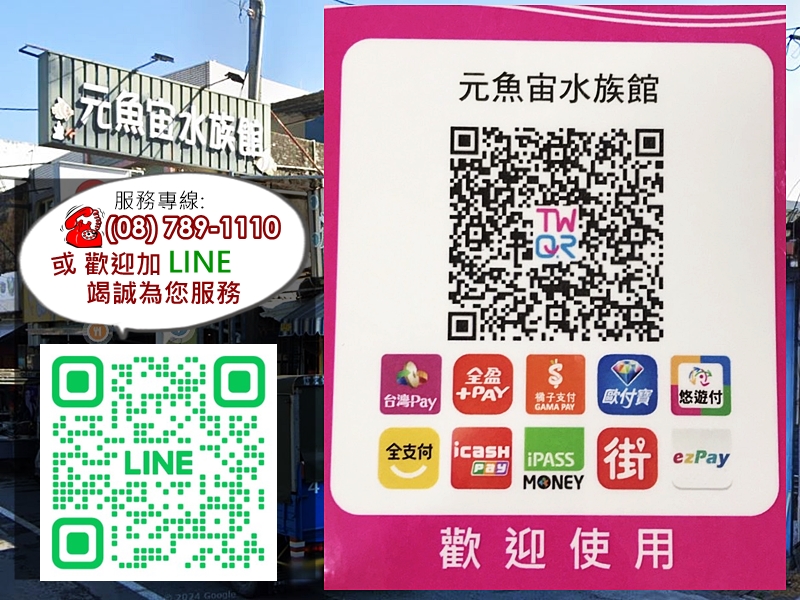 元魚宙水族館(原➢國際水族館量販店)-undefined