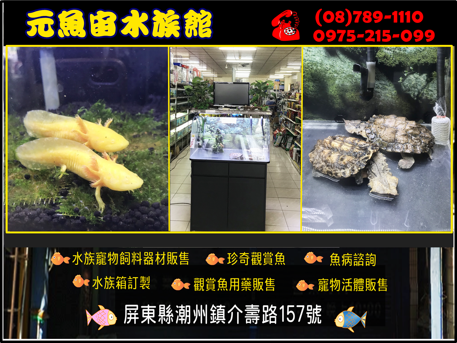 元魚宙水族館(原➢國際水族館量販店)-undefined