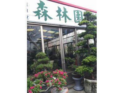 森林園-undefined