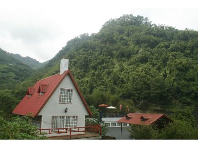 楚留香花坊民宿-undefined