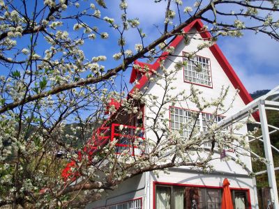 楚留香花坊民宿-undefined