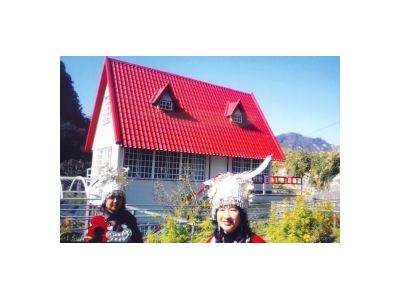 楚留香花坊民宿-undefined